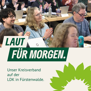 Grüne Delegierte auf der Landesdelegiertenversammlung